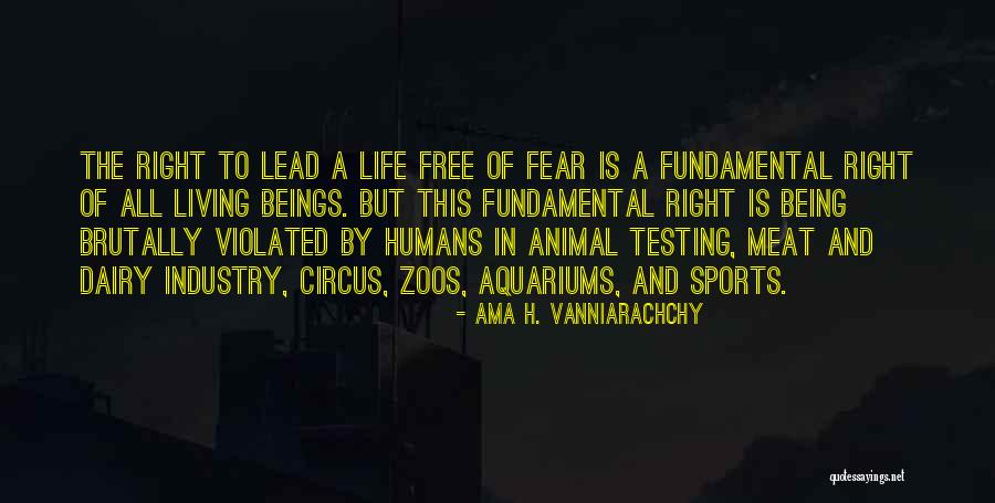 Radife Erten Quotes By Ama H. Vanniarachchy Radife Erten Quotes By Ama H. Vanniarachchy