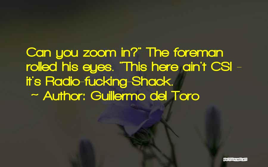 Radio Shack Quotes By Guillermo Del Toro