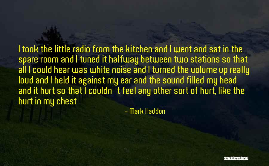 Radio Stations Quotes By Mark Haddon