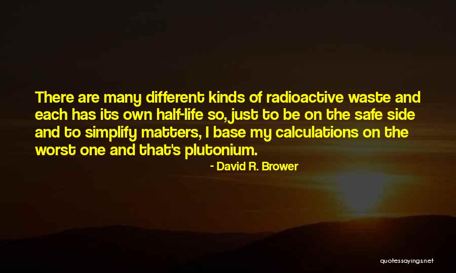 Radioactive Quotes By David R. Brower