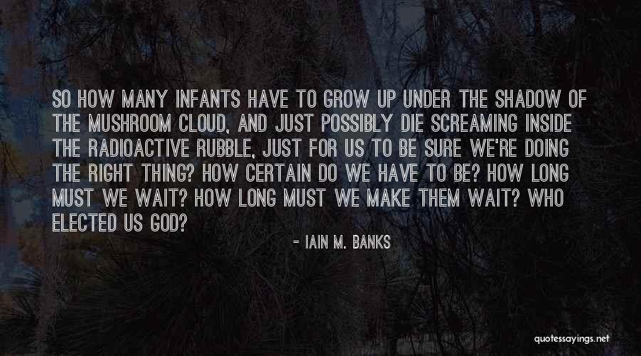 Radioactive Quotes By Iain M. Banks