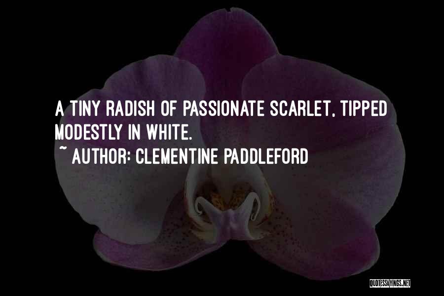 Radish Quotes By Clementine Paddleford