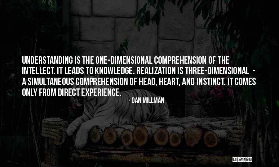 Raditya Oloan Quotes By Dan Millman