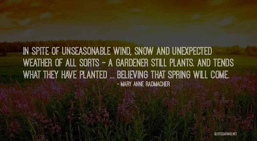 Radmacher Quotes By Mary Anne Radmacher Radmacher Quotes By Mary Anne Radmacher