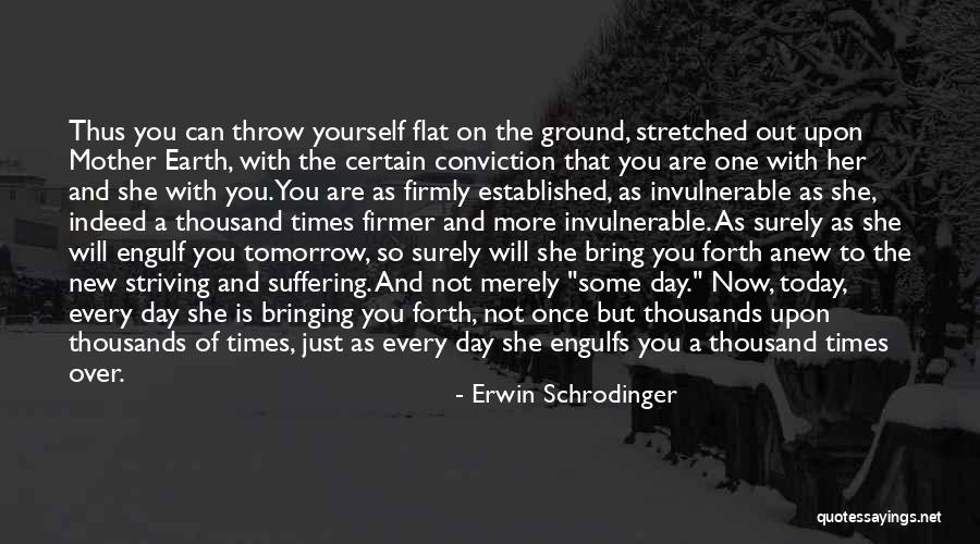 Radmilo Bogdanovic Quotes By Erwin Schrodinger Radmilo Bogdanovic Quotes By Erwin Schrodinger