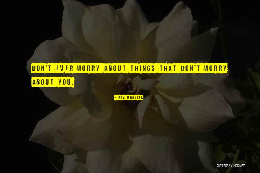 Radmilo Bogdanovic Quotes By Wiz Khalifa