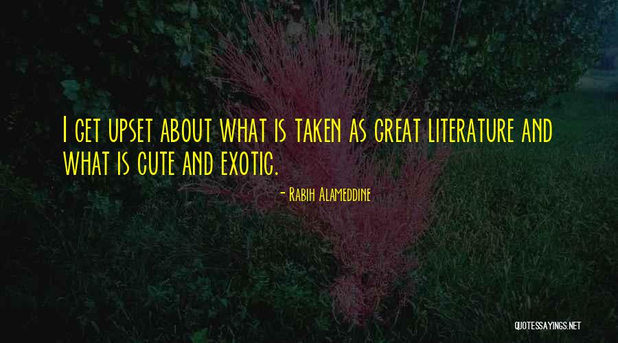 Radojko Avramovic Quotes By Rabih Alameddine Radojko Avramovic Quotes By Rabih Alameddine