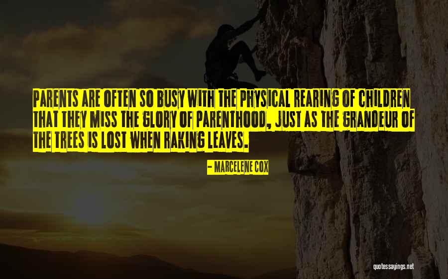 Radomir Belacevic Quotes By Marcelene Cox Radomir Belacevic Quotes By Marcelene Cox
