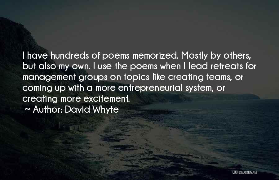 Radomosity Quotes By David Whyte