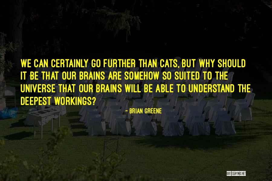 Radoslava Bachvarova Quotes By Brian Greene Radoslava Bachvarova Quotes By Brian Greene