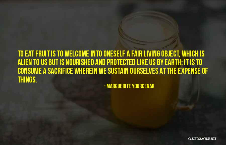 Radosveta Stoyanov Quotes By Marguerite Yourcenar Radosveta Stoyanov Quotes By Marguerite Yourcenar