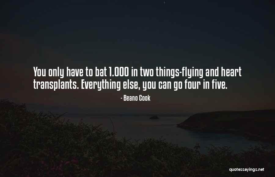 Radoyan Quotes By Beano Cook Radoyan Quotes By Beano Cook