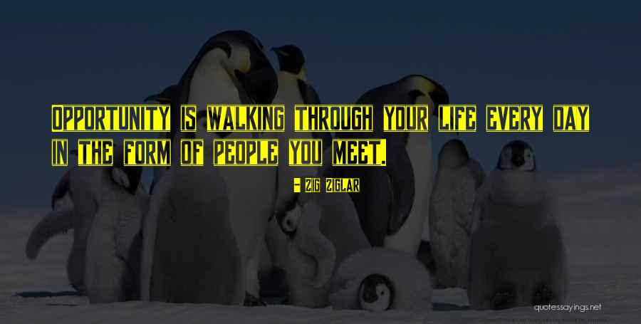 Radule Mrtav Quotes By Zig Ziglar Radule Mrtav Quotes By Zig Ziglar