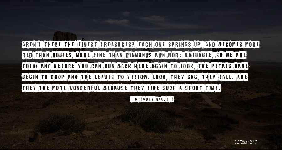 Radzivil Nicole Quotes By Gregory Maguire Radzivil Nicole Quotes By Gregory Maguire