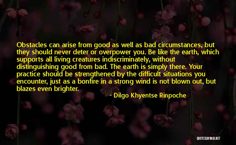 Radziwillow Quotes By Dilgo Khyentse Rinpoche Radziwillow Quotes By Dilgo Khyentse Rinpoche