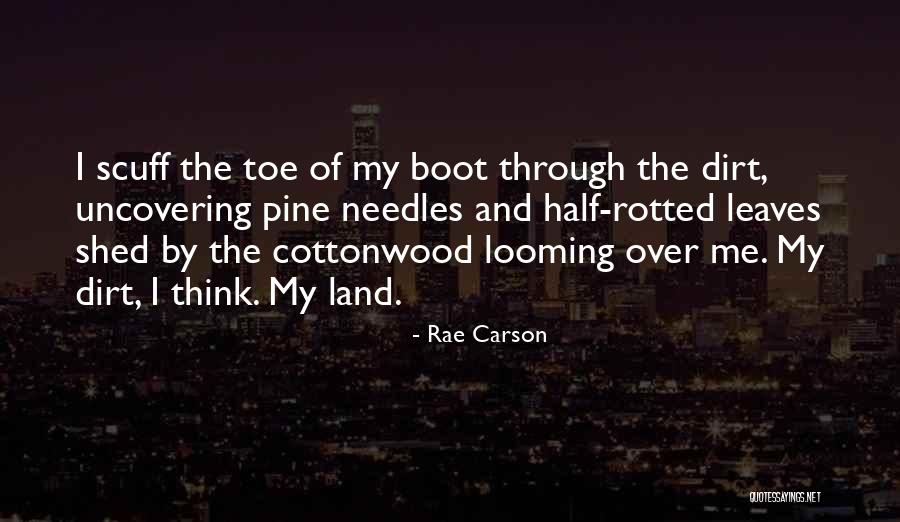 Rae Carson Quotes 103775