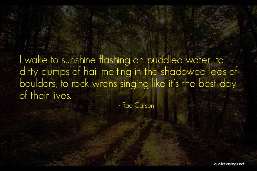 Rae Carson Quotes 1257772