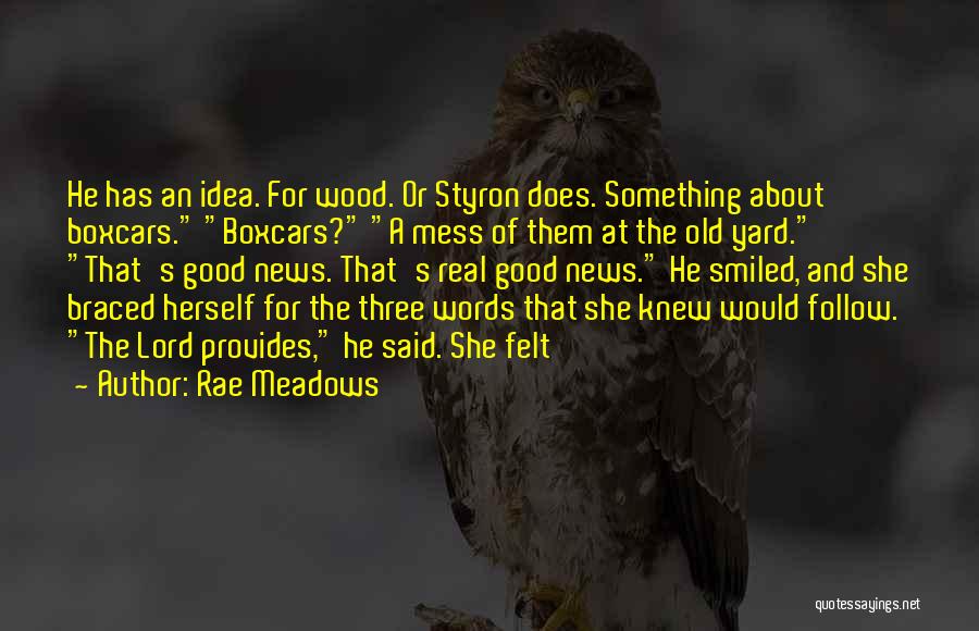 Rae Meadows Quotes 1031189