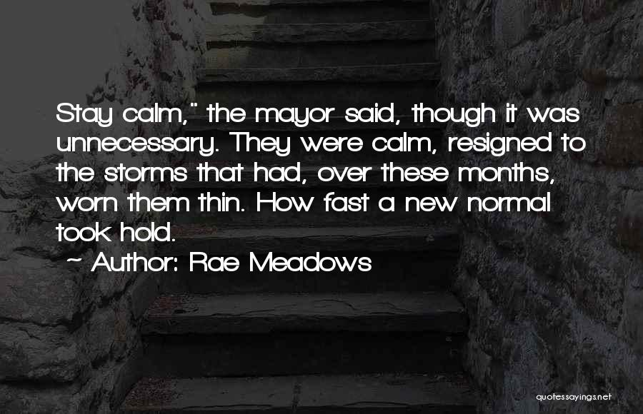 Rae Meadows Quotes 1207164