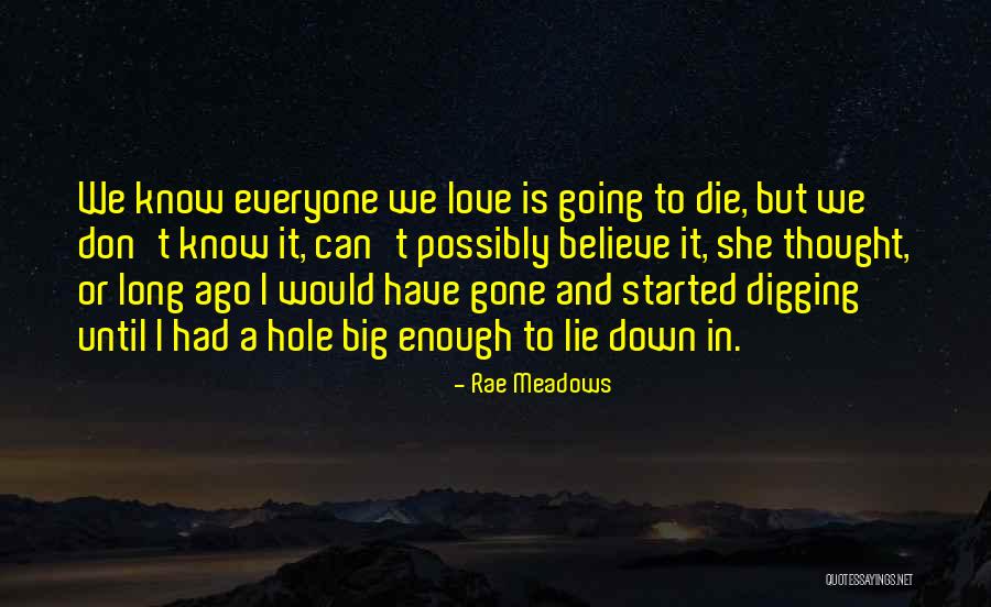 Rae Meadows Quotes 1462633