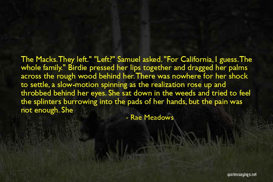 Rae Meadows Quotes 1499963 Rae Meadows Quotes 1499963