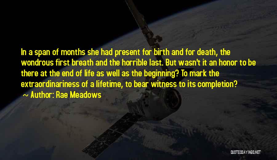 Rae Meadows Quotes 152547
