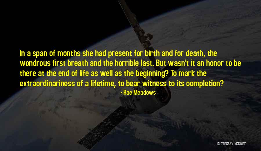 Rae Meadows Quotes 152547