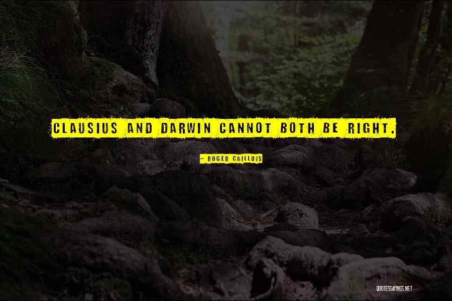 Raemisch Implement Quotes By Roger Caillois Raemisch Implement Quotes By Roger Caillois