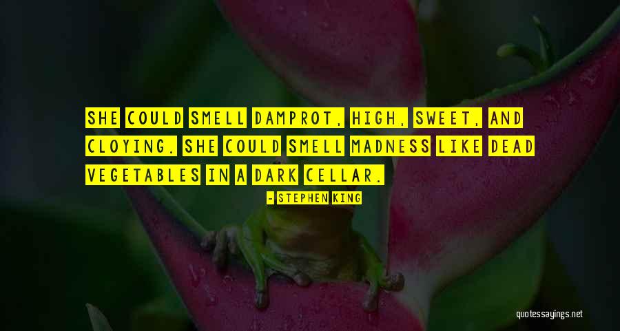 Rafalaxine Quotes By Stephen King Rafalaxine Quotes By Stephen King