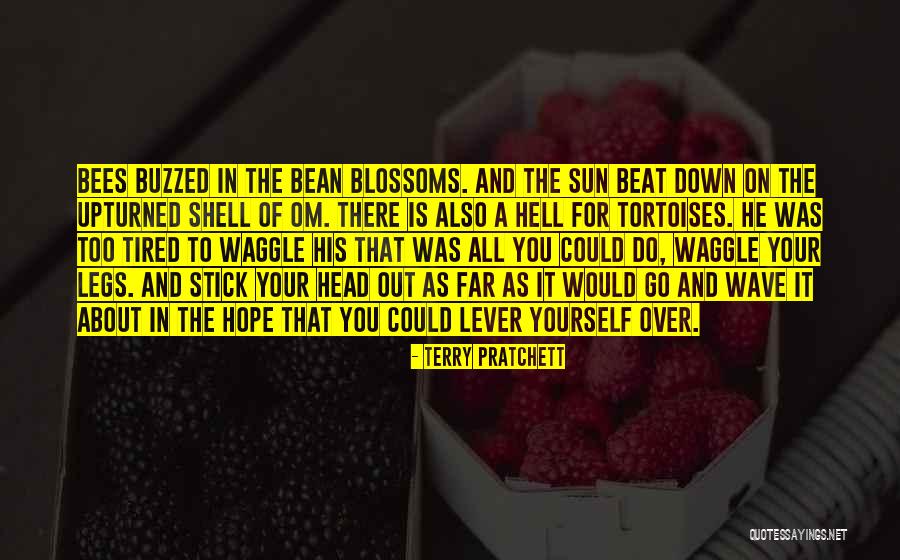 Raffaello Cake Quotes By Terry Pratchett Raffaello Cake Quotes By Terry Pratchett