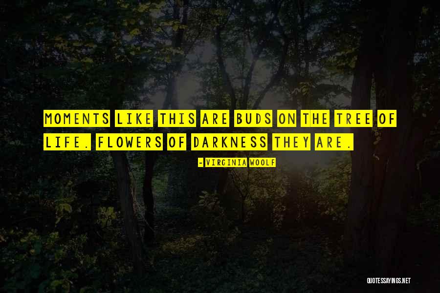 Raffaello Sanzio Quotes By Virginia Woolf