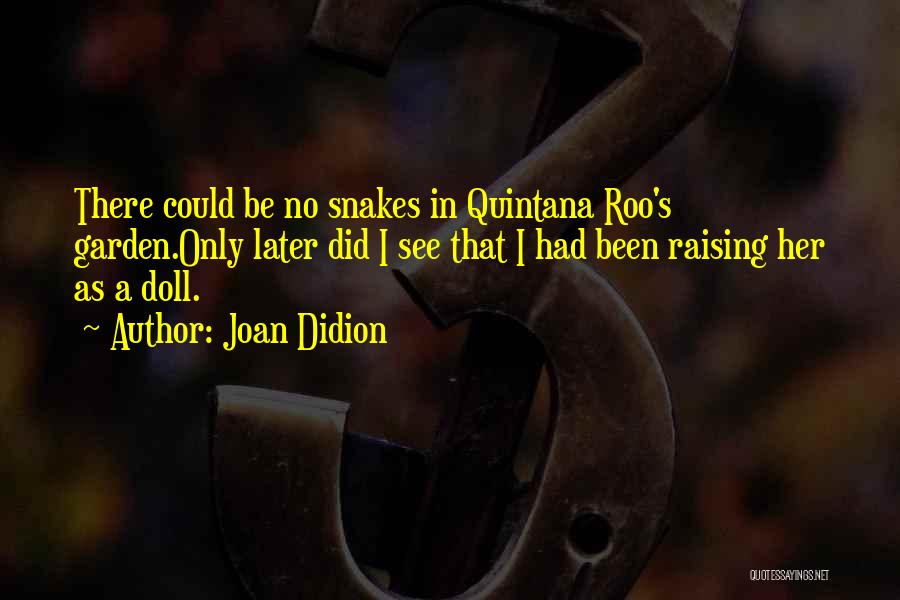 Raffledini Quotes By Joan Didion