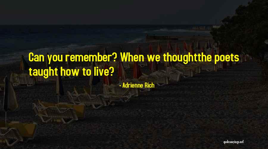 Ragamuffins Kittens Quotes By Adrienne Rich Ragamuffins Kittens Quotes By Adrienne Rich