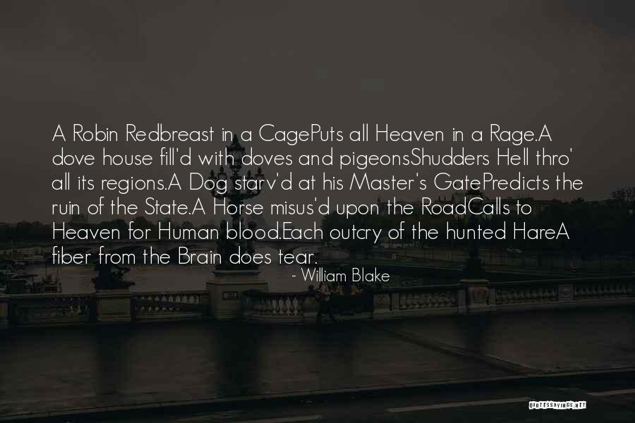 Rage And Ruin Quotes By William Blake Rage And Ruin Quotes By William Blake