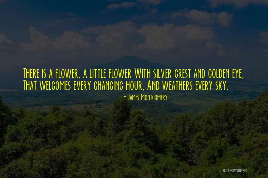 Rageh Academy Quotes By James Montgomery Rageh Academy Quotes By James Montgomery