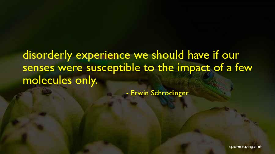 Raghabendra Quotes By Erwin Schrodinger Raghabendra Quotes By Erwin Schrodinger