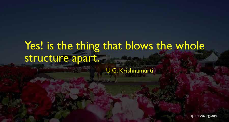 Raghib Allie Brennan Quotes By U.G. Krishnamurti Raghib Allie Brennan Quotes By U.G. Krishnamurti