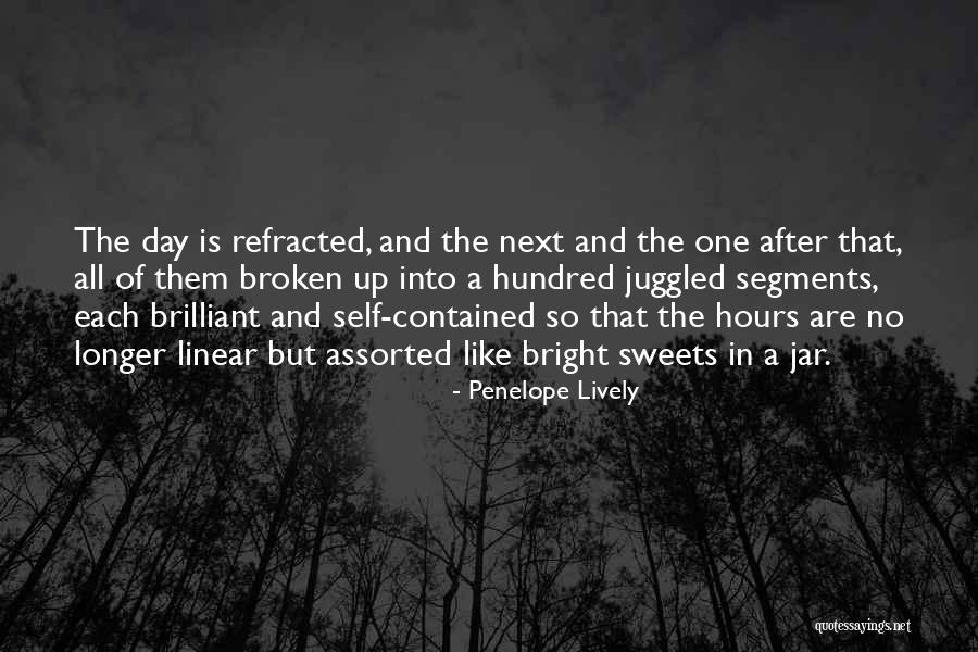 Raghunandan Panshikar Quotes By Penelope Lively Raghunandan Panshikar Quotes By Penelope Lively