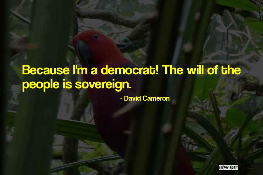 Raghuvanshi Honda Quotes By David Cameron Raghuvanshi Honda Quotes By David Cameron