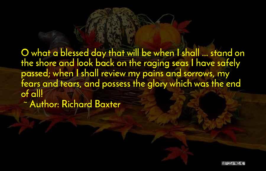 Raging Seas Quotes By Richard Baxter