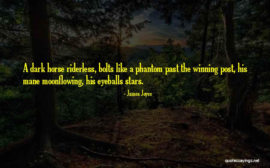 Ragione In English Quotes By James Joyce Ragione In English Quotes By James Joyce