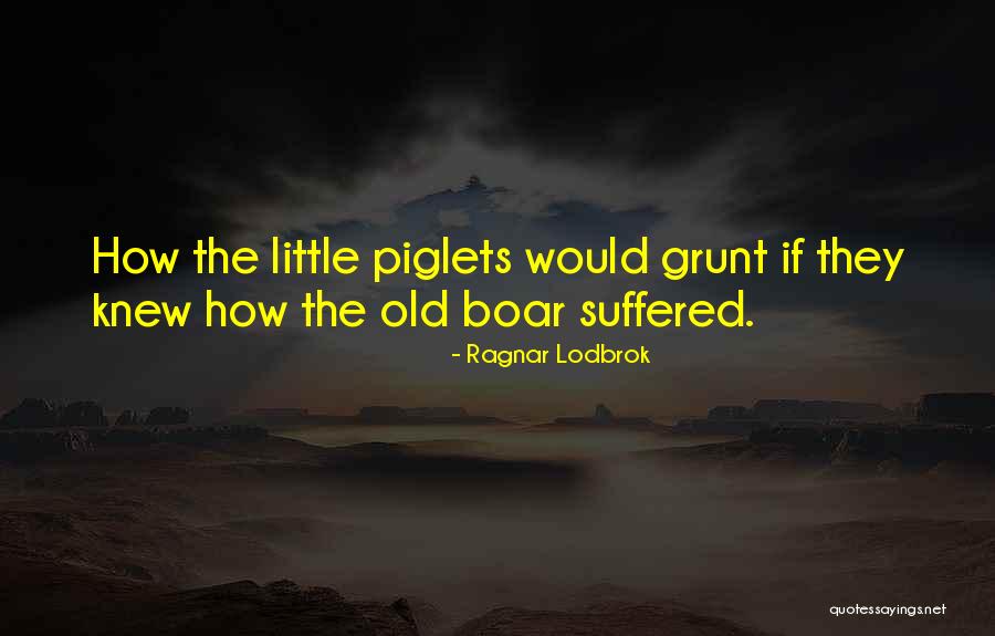 Ragnar Lodbrok Quotes 1143044