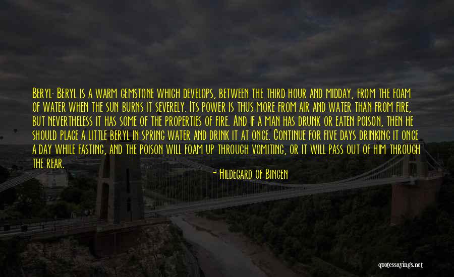 Ragnhildur Quotes By Hildegard Of Bingen Ragnhildur Quotes By Hildegard Of Bingen