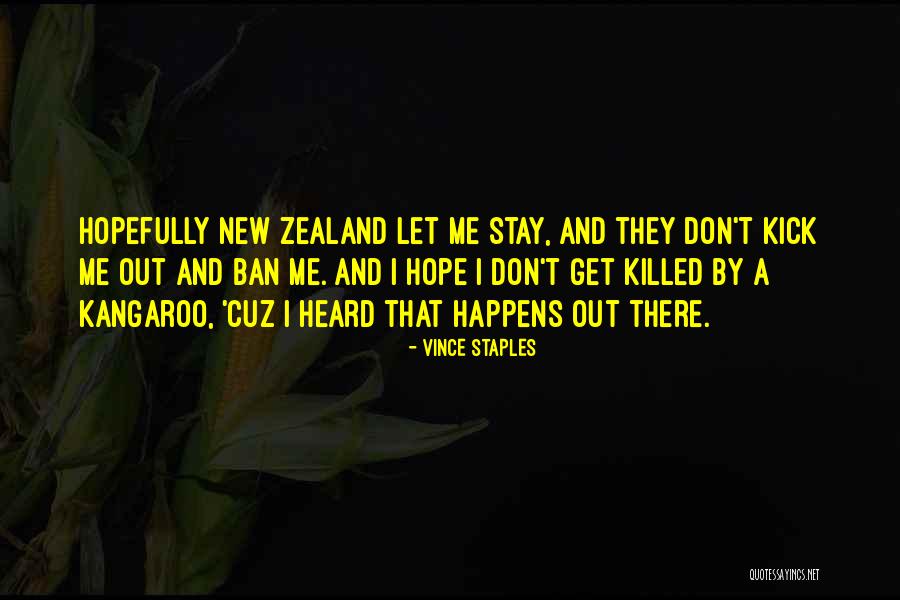 Ragocracy Quotes By Vince Staples Ragocracy Quotes By Vince Staples