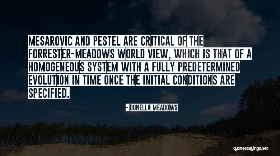 Rahata Pin Quotes By Donella Meadows Rahata Pin Quotes By Donella Meadows