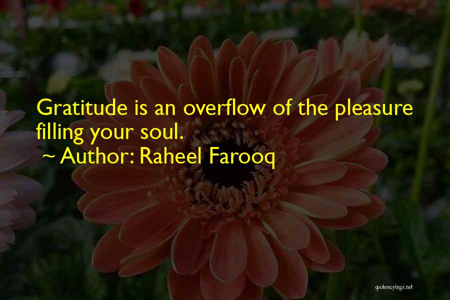 Raheel Farooq Quotes 553633