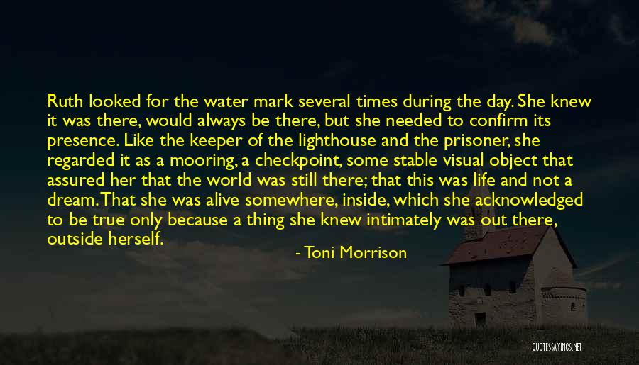 Rahila Ansari Quotes By Toni Morrison Rahila Ansari Quotes By Toni Morrison