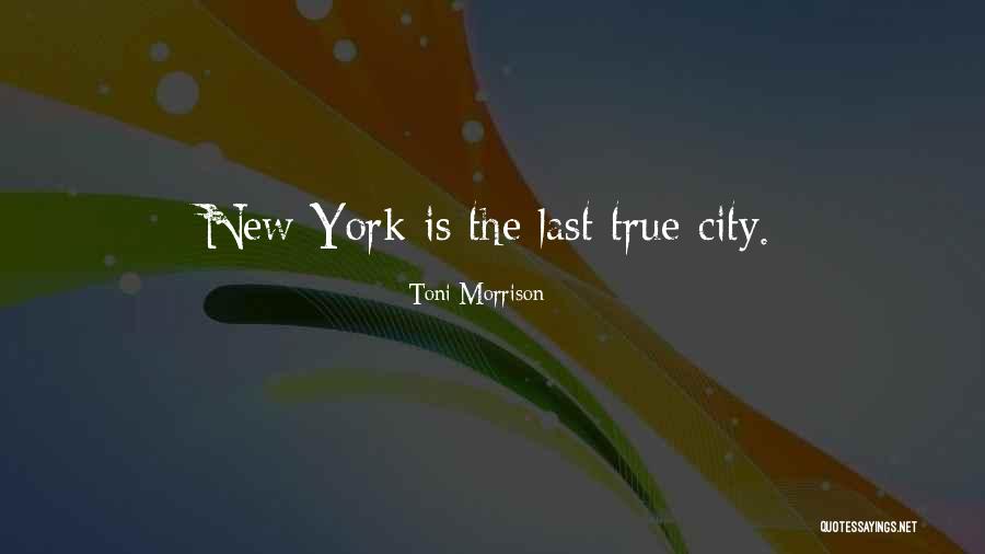 Rahimzadeh Last Name Quotes By Toni Morrison Rahimzadeh Last Name Quotes By Toni Morrison