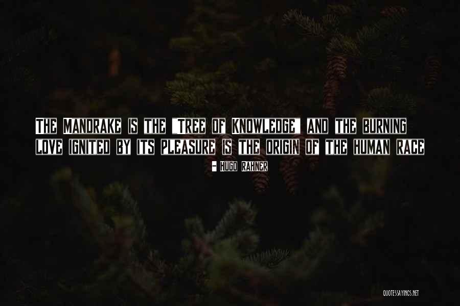 Rahner Quotes By Hugo Rahner Rahner Quotes By Hugo Rahner