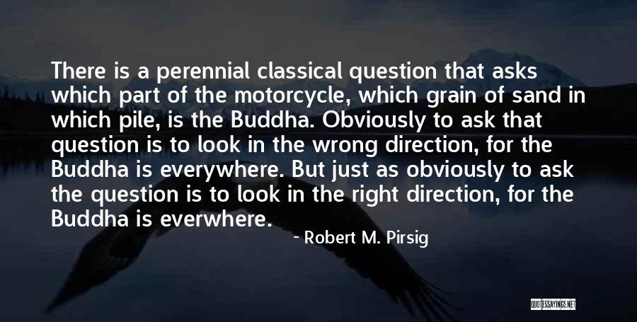 Raichu Pokemon Quotes By Robert M. Pirsig Raichu Pokemon Quotes By Robert M. Pirsig
